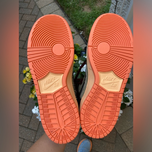 Nike Concepts Turdunken “Special Box” - Picture 10 of 14